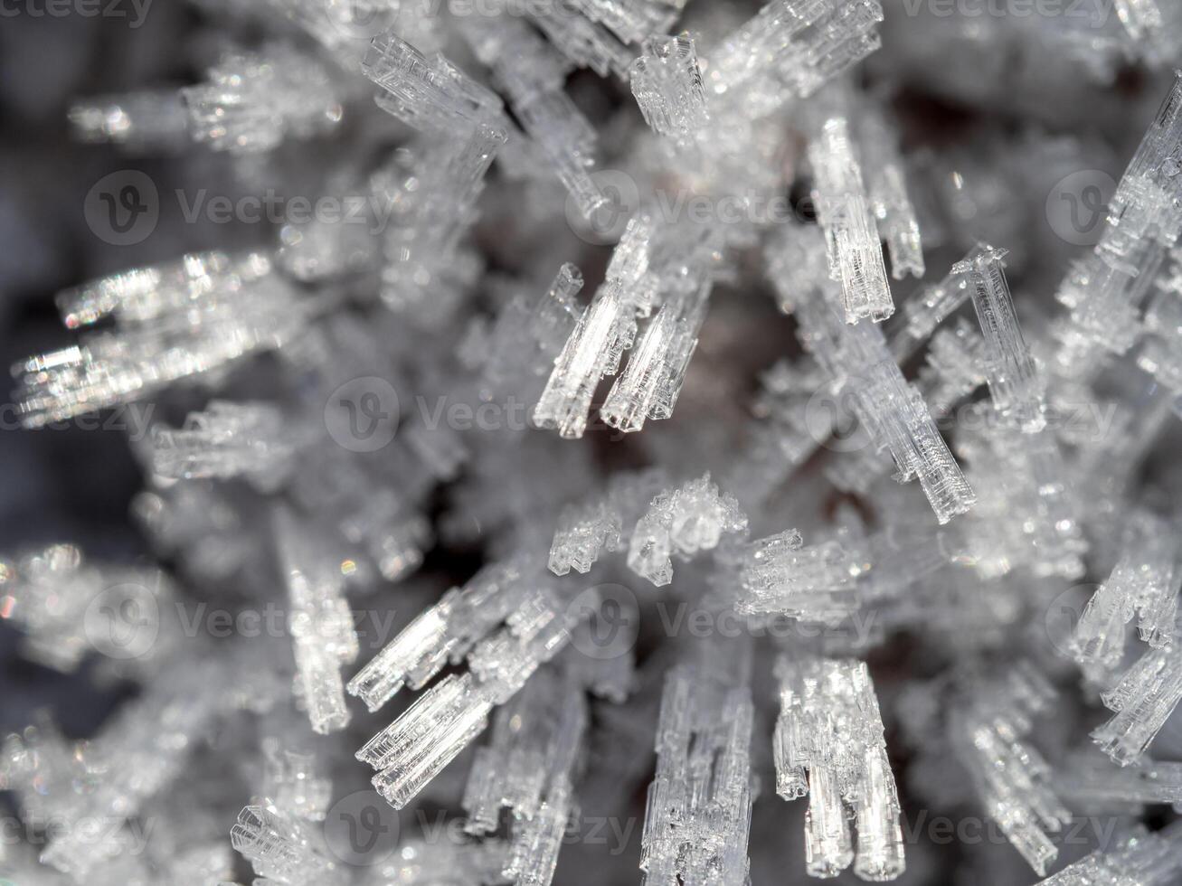 Ice crystals in a garden on a frosty morning photo