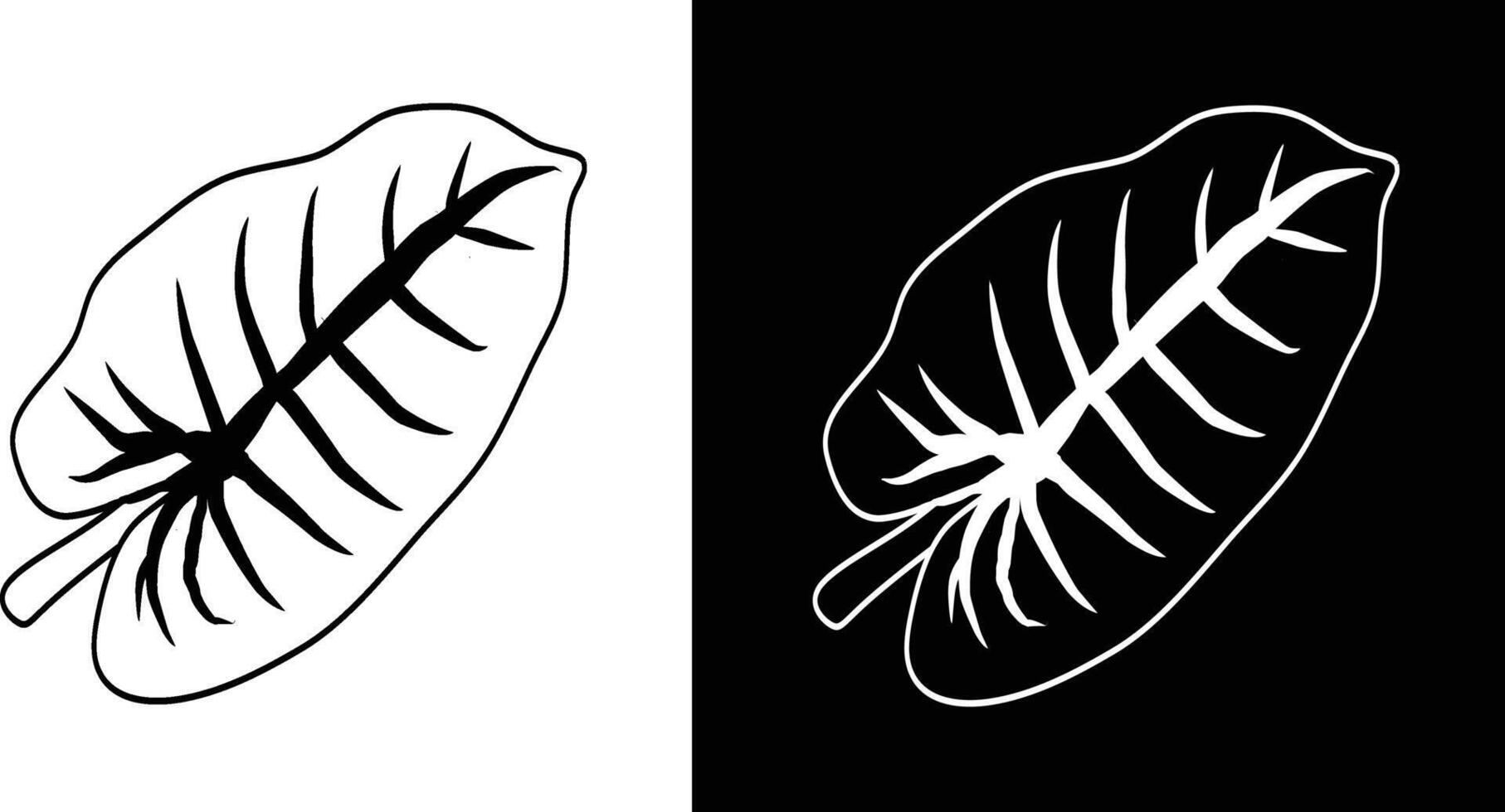 A digitally drawn leaf design illustrated in black and white with intricate vein details and stylized contours against contrasting backgrounds for artistic appeal vector