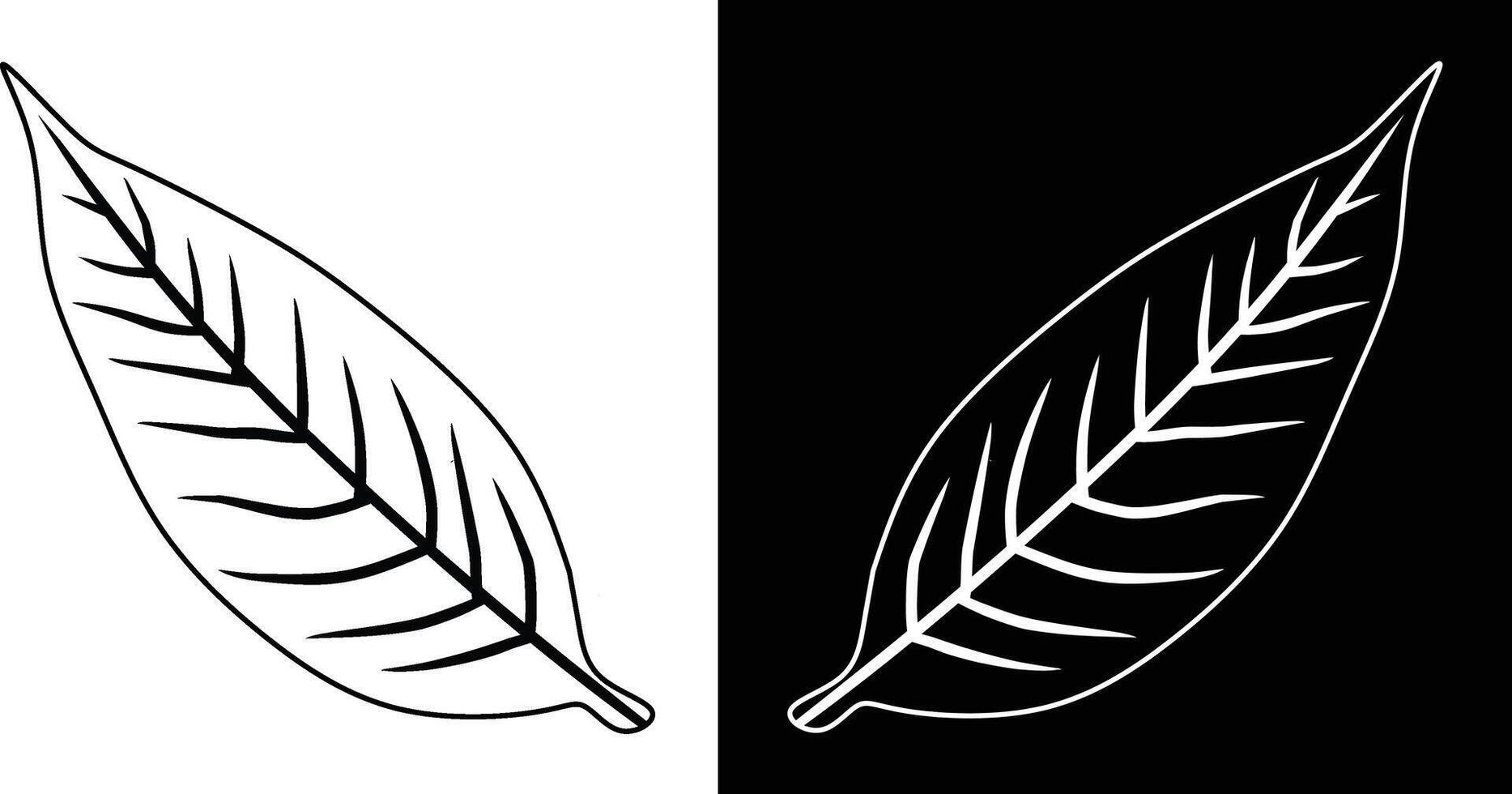 Detailed Black and White Leaf, Illustration on Contrasting Backgrounds. vector