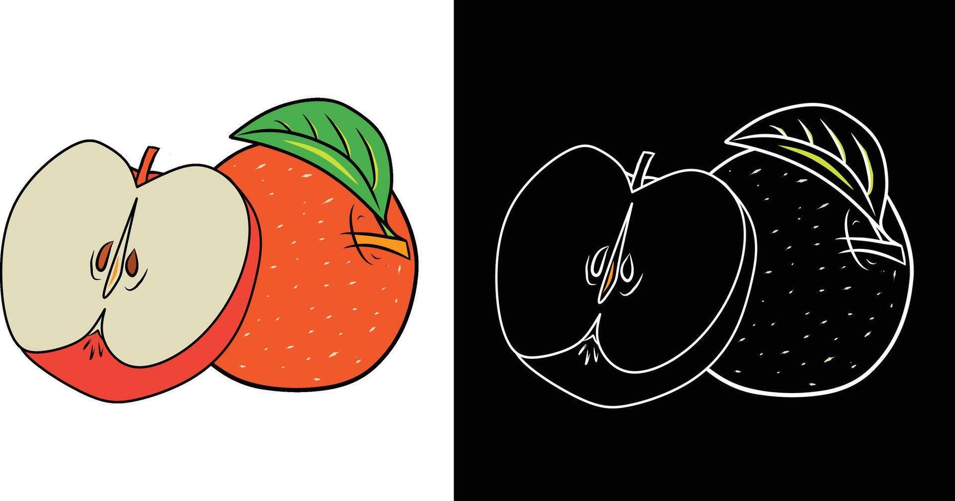 Detailed artwork of an apple and an orange displayed in color and outline against contrasting backgrounds, highlighting the vibrancy and simplicity of fruit illustrations. vector