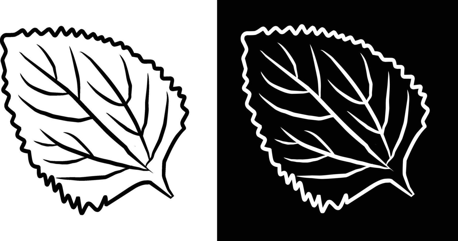 A digitally drawn leaf design illustrated in black and white with intricate vein details and stylized contours against contrasting backgrounds for artistic vector