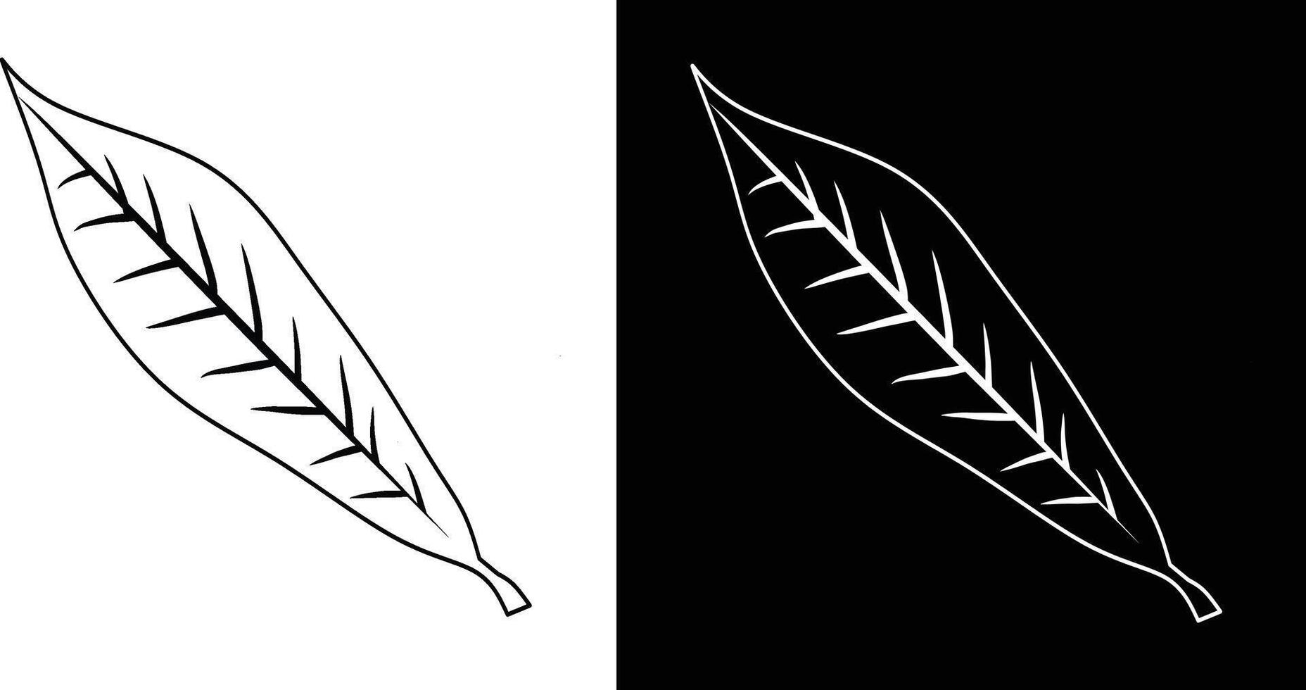 Detailed Black and White Leaf, Illustration on Contrasting Backgrounds vector