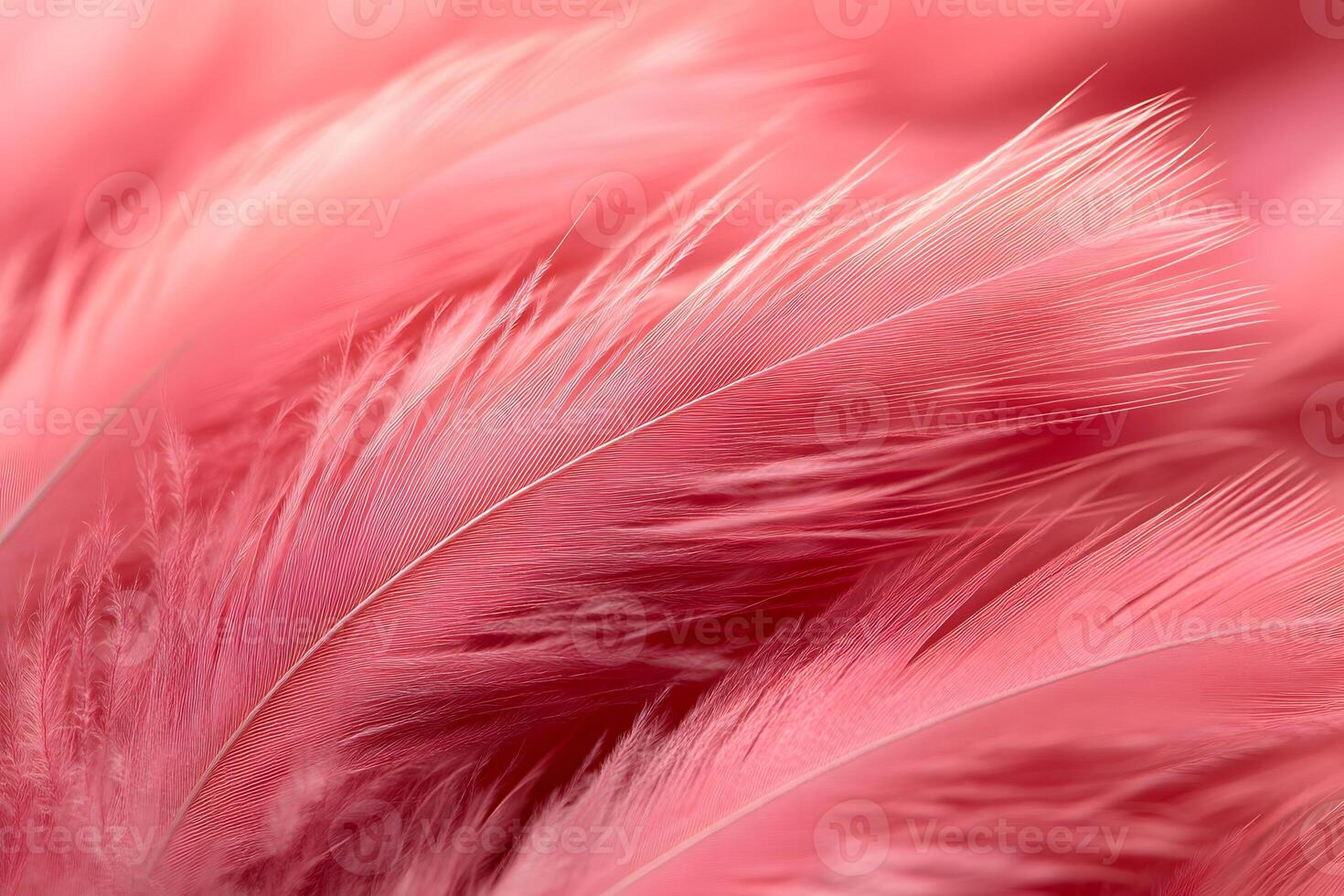 Elegant Pink Feather Texture for Artistic and Decorative Design photo