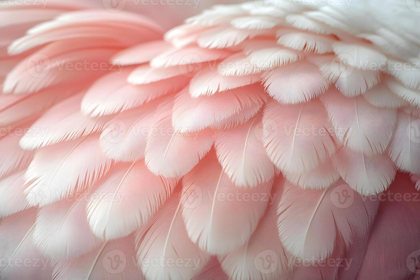 Elegant Pastel Feathers Texture for Design and Decor photo