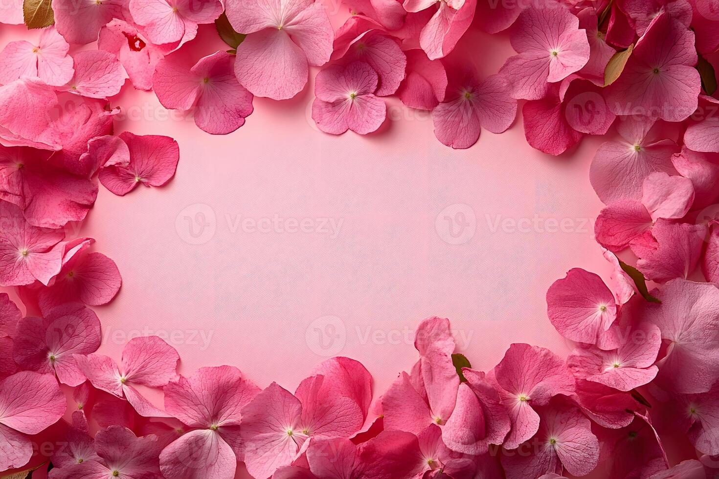 Pink Floral Frame with Hydrangea Petals for Spring Design Concepts photo