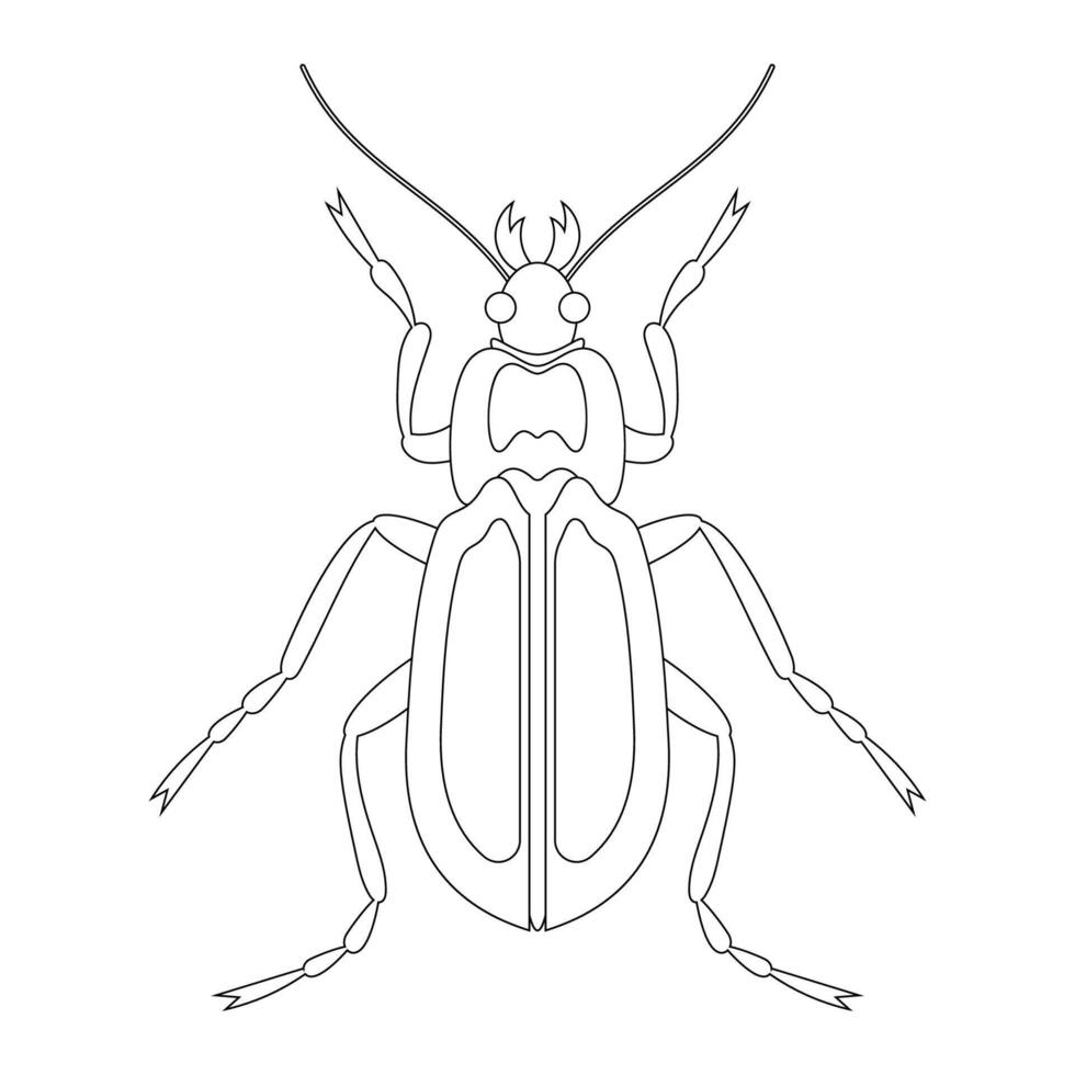 Coloring book of hydrochidae bug vector