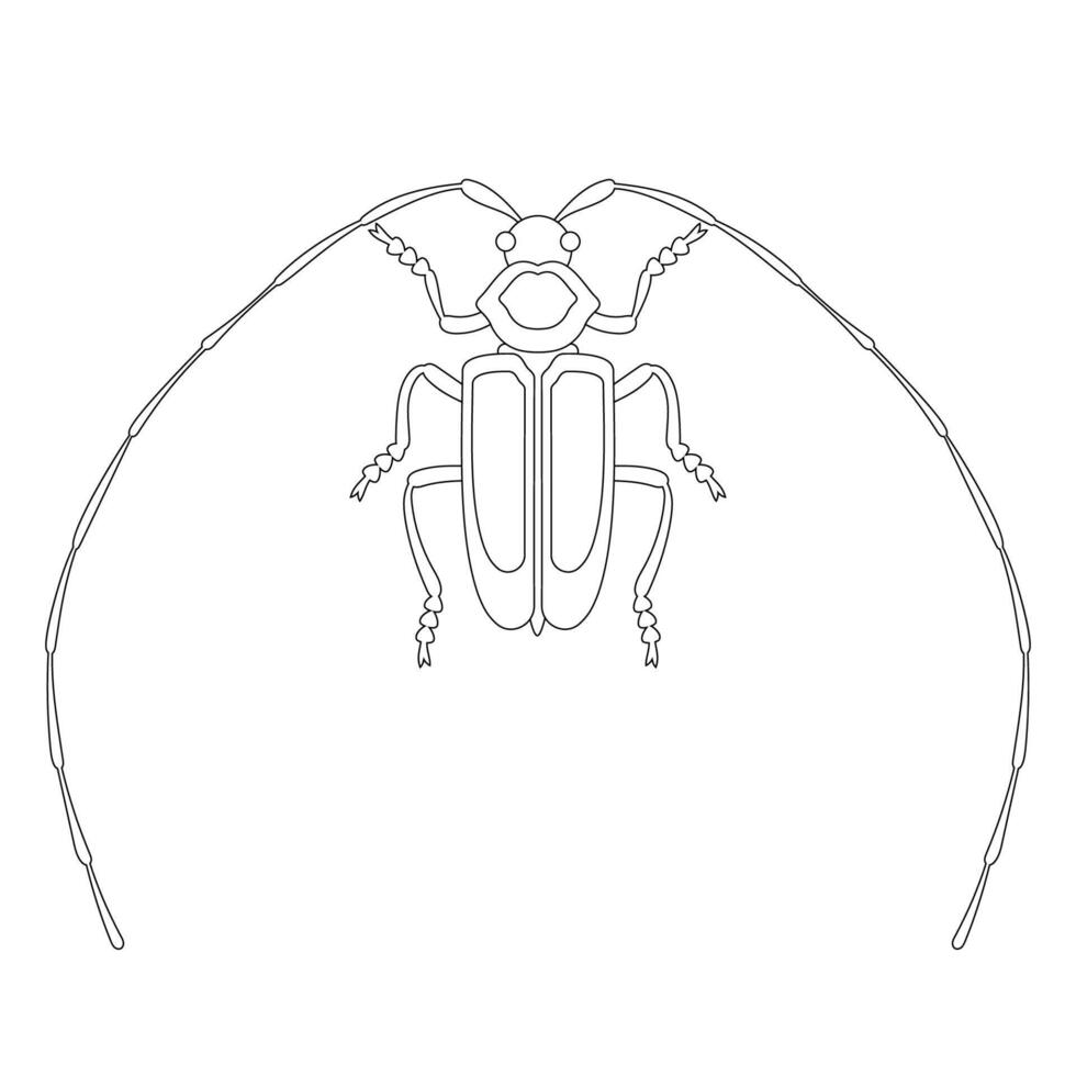 Coloring book of long eared whisker beetle vector