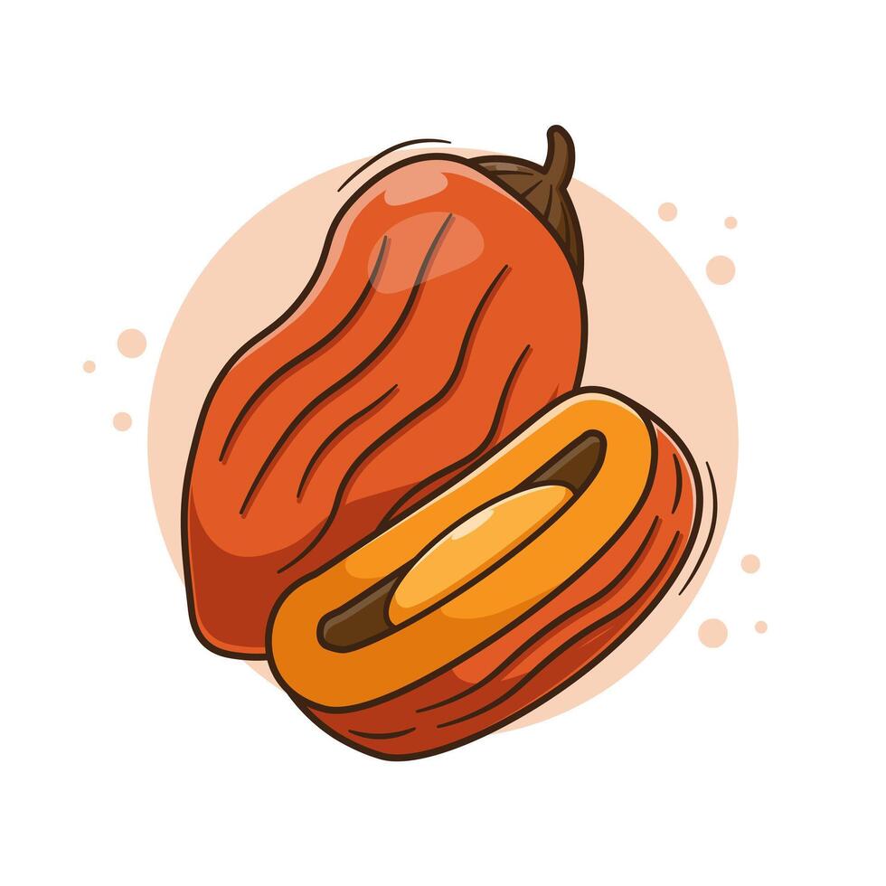 Sweet dried dates fruits with flat cartoon style illustration isolated on white background vector