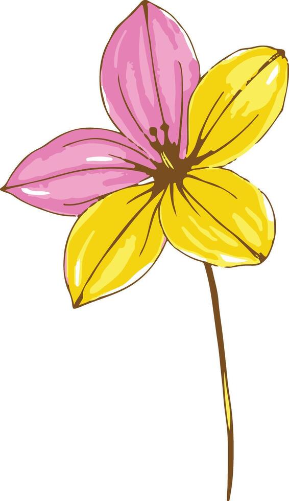 A flower with yellow and pink petals vector
