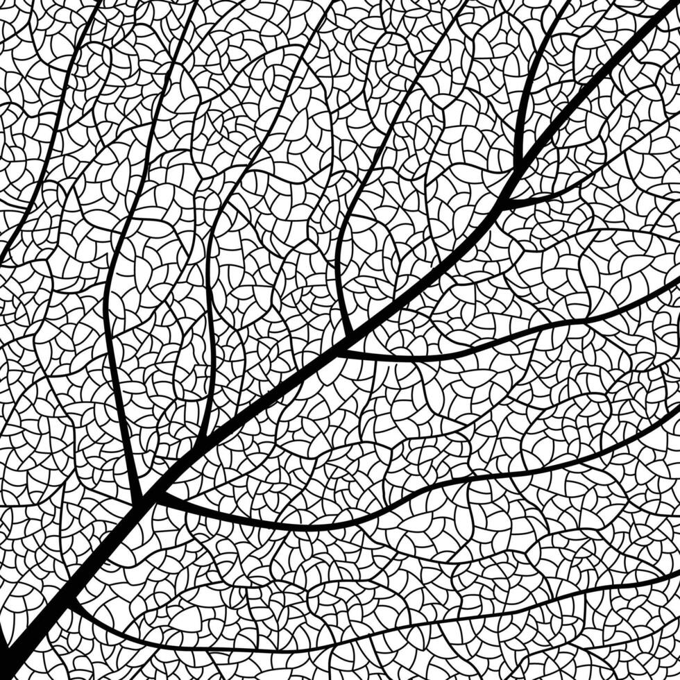 Close-up green leaf texture with intricate details of leaf veins showcasing natures botanical textures and patterns vector