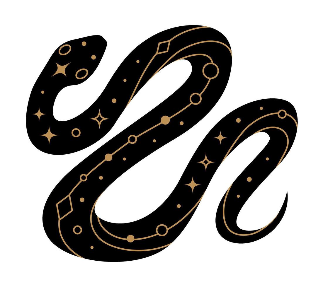 Black snake silhouette with golden mystical elements vector