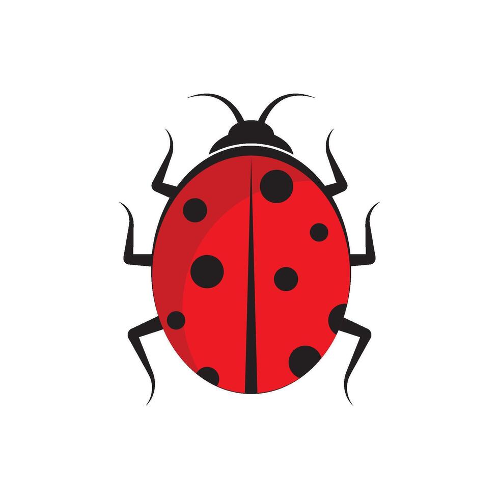 Insect ladybug logo flat design vector