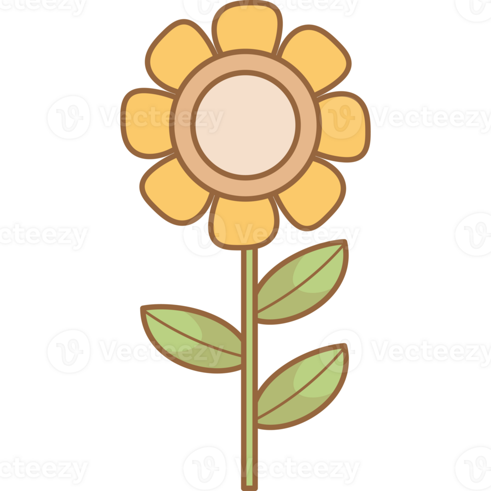 Chamomile flower with leaves. hand drawn botanical ornamental plant png