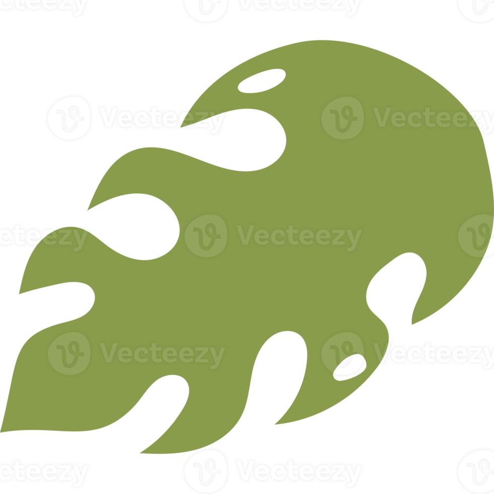 Tropical green leaf. Botanical element png