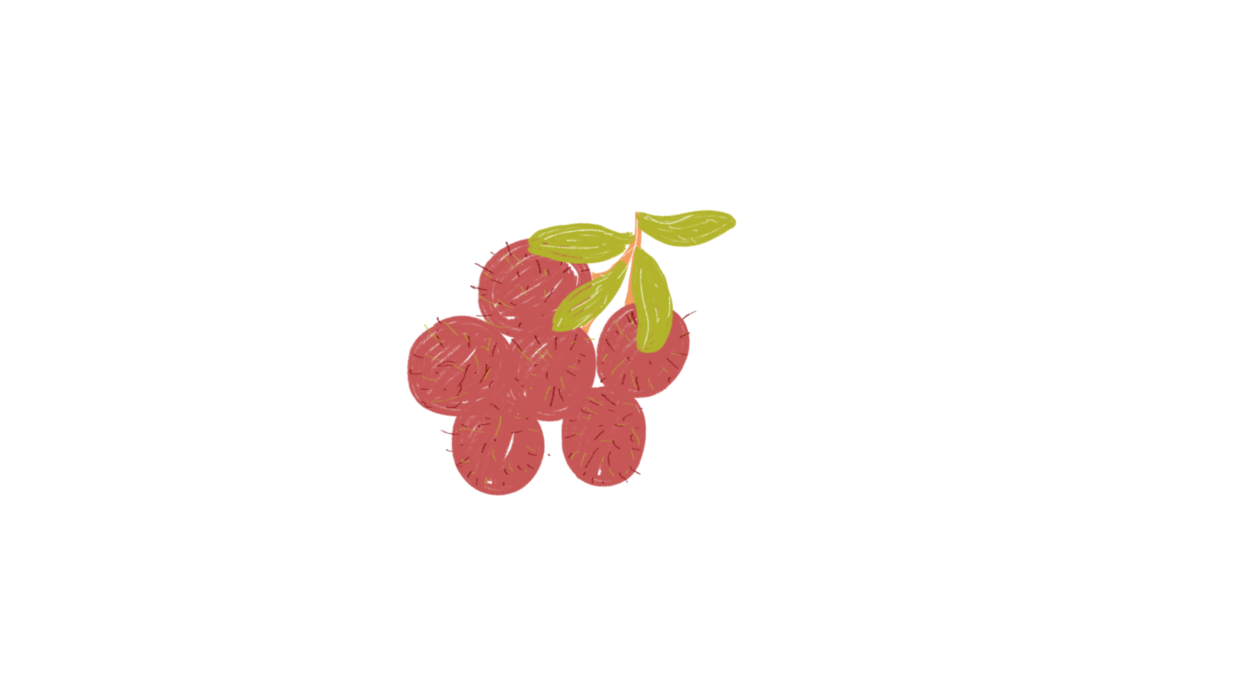 Tropical Fruit Rambutan png