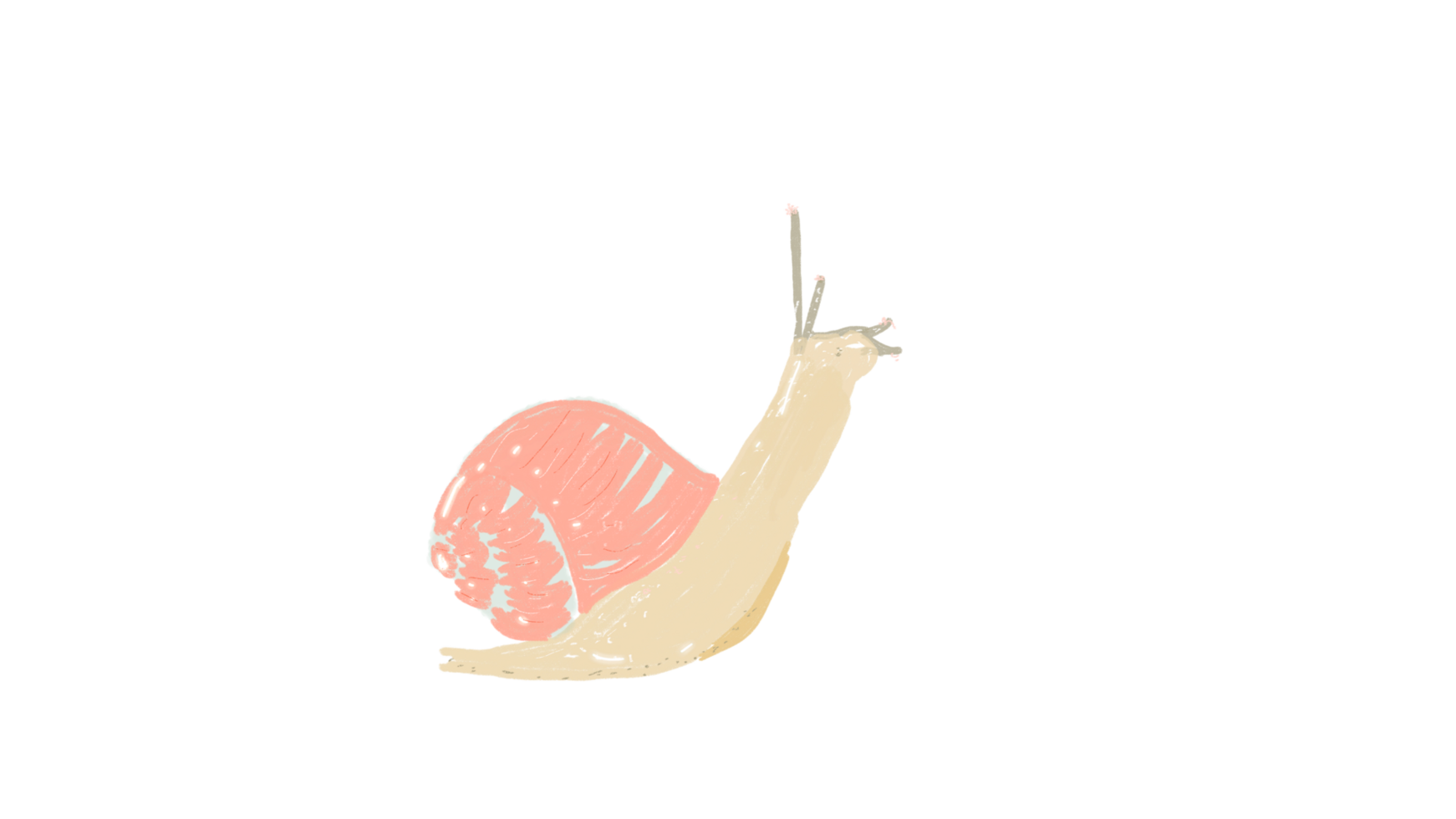 A cute snail with peach clam png