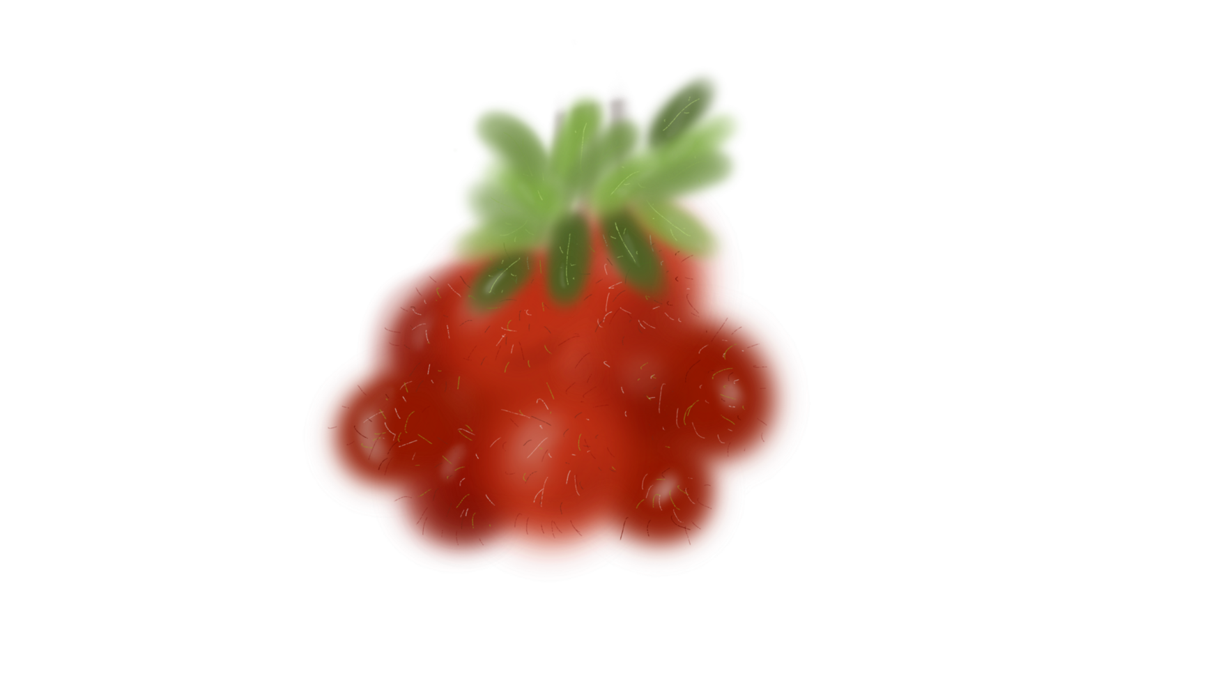 Rambutan is a tropical fruit png