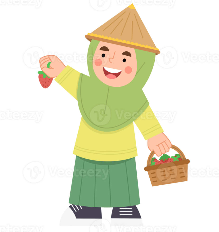 Illustration of a hijab girl harvesting strawberries png
