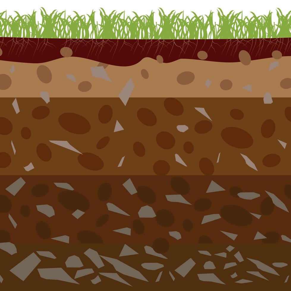 Soil layers diagram earth texture, stones. Ground with green grass on top. Mineral particles, sand, humus and stones, natural fertilizer. Geology infographics. Education for kids. vector