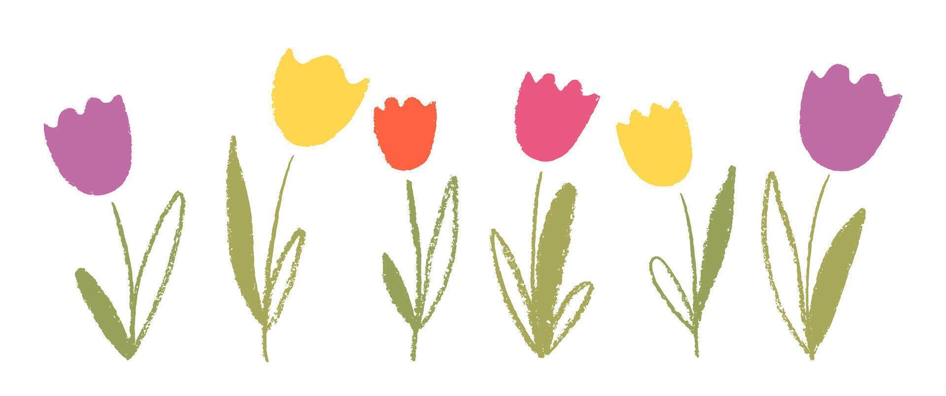 Hand drawn spring tulips with crayon, pastel or chalk texture. Floral Easter illustration for kids. vector