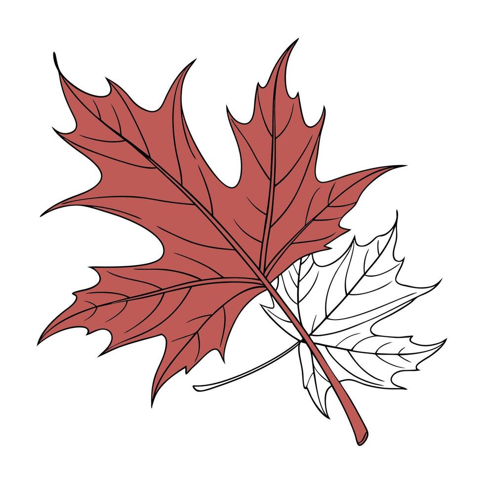 Realistic fall leaf isolated tree vector