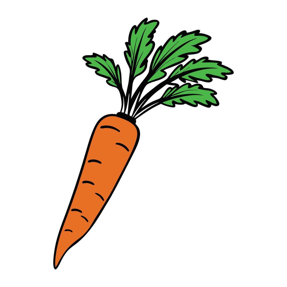 Healthy ripe carrot single icon art design. vector