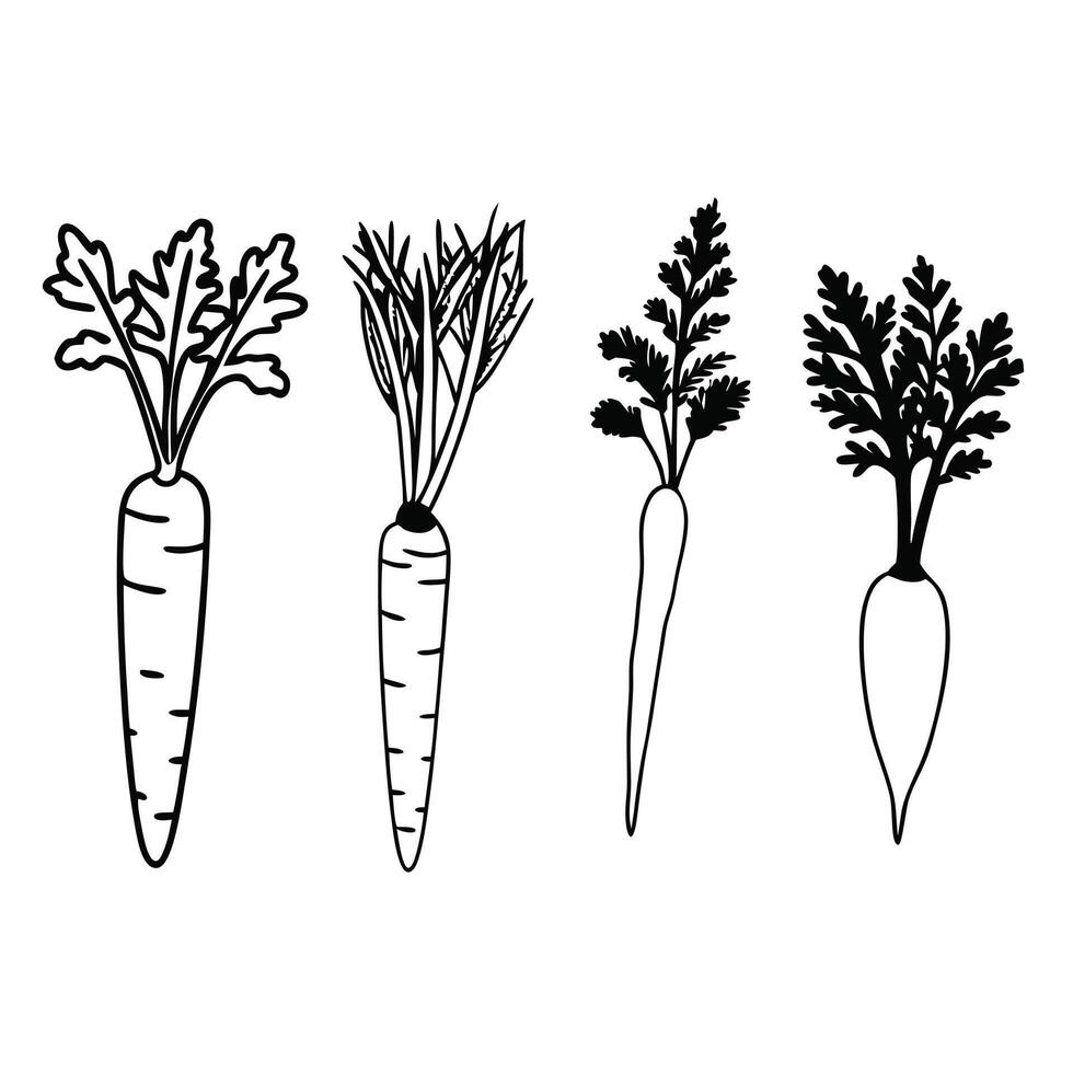 Unique carrot silhouette art four design. vector