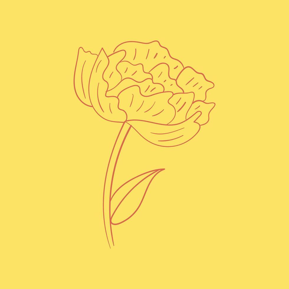 Florals and botanicals trendy creative cute abstract illustration colorful design vector