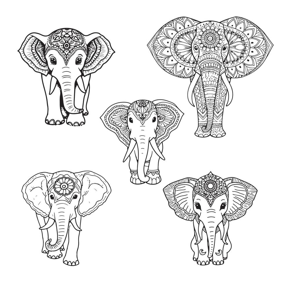 Free set of elephant illustration vector