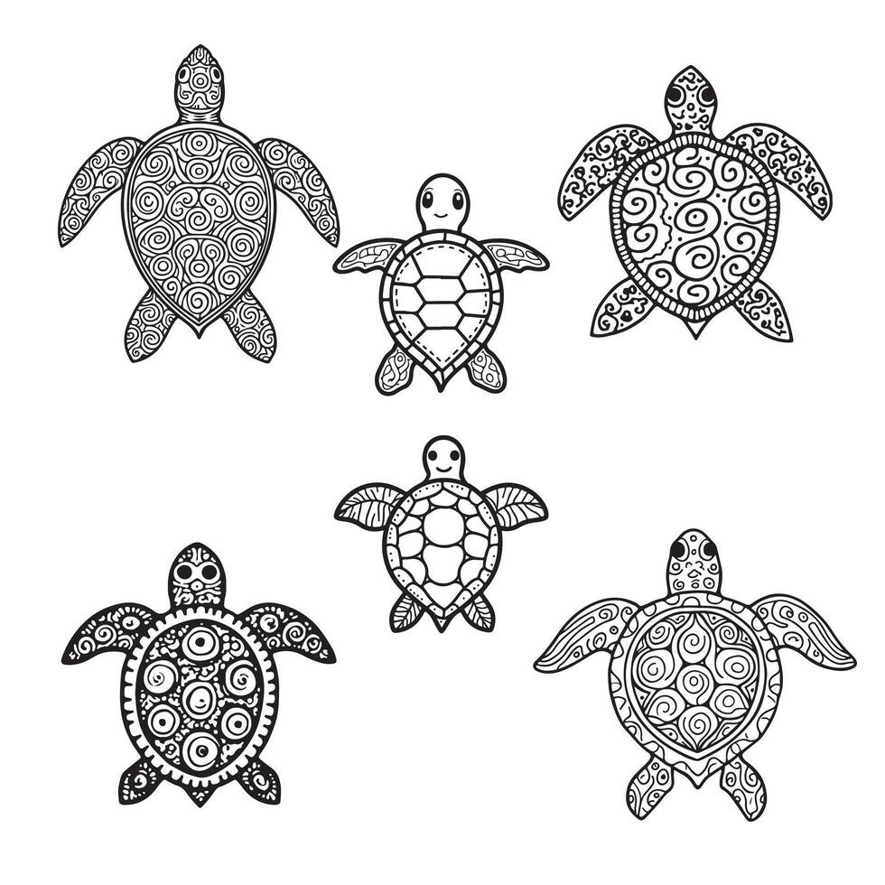 A drawing turtle with a patterned set vector