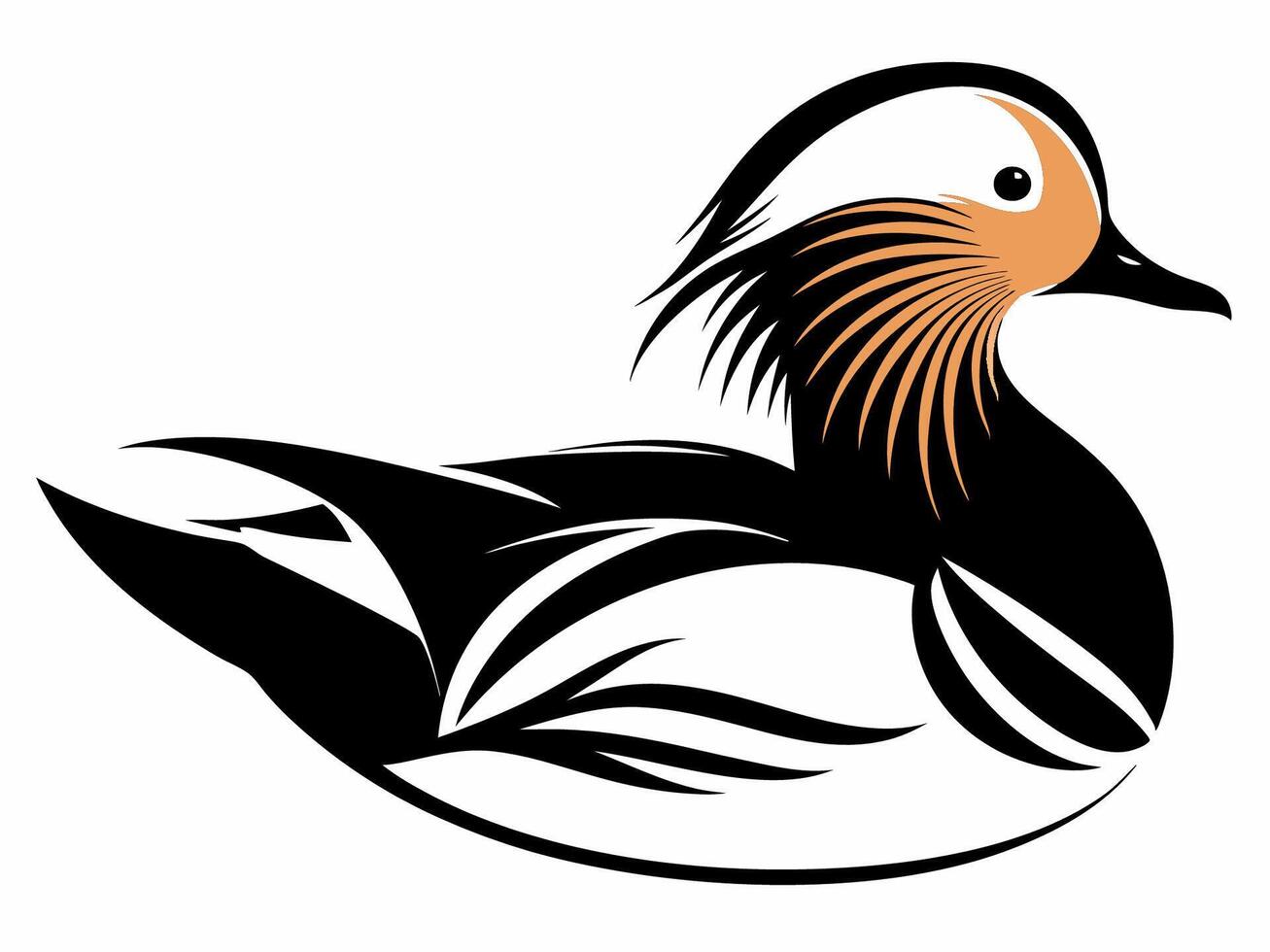 A Duck Radiating Beauty vector