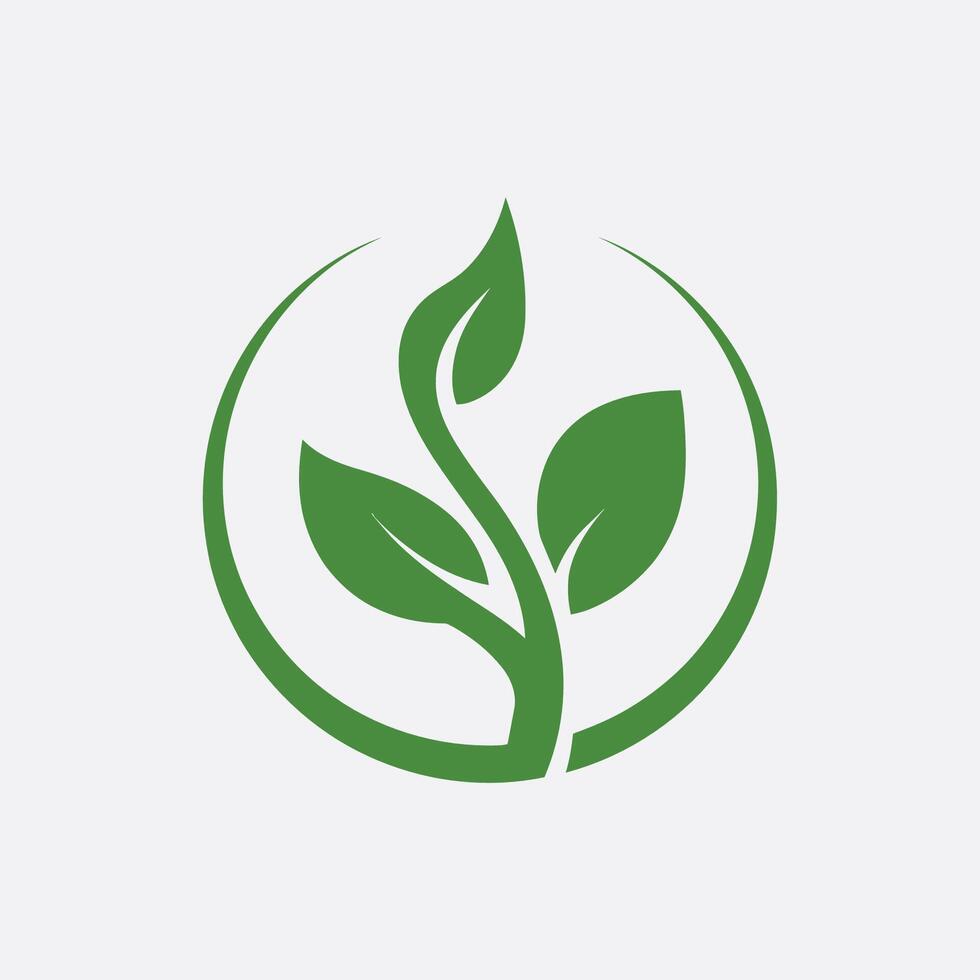 Leaf greens logo design with gradient vector