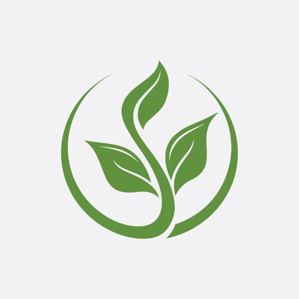 leaves logo icon design template elements leaves vector
