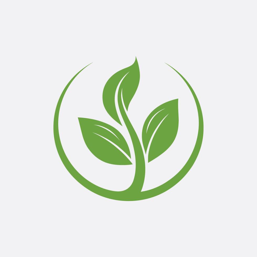 leaves logo icon design vector