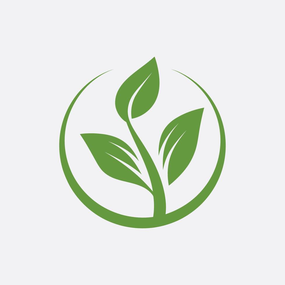 leaves logo icon designs vector