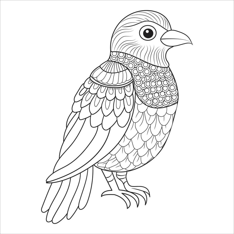 Decorative Bird with Intricate Feather Patterns Outline for Coloring vector