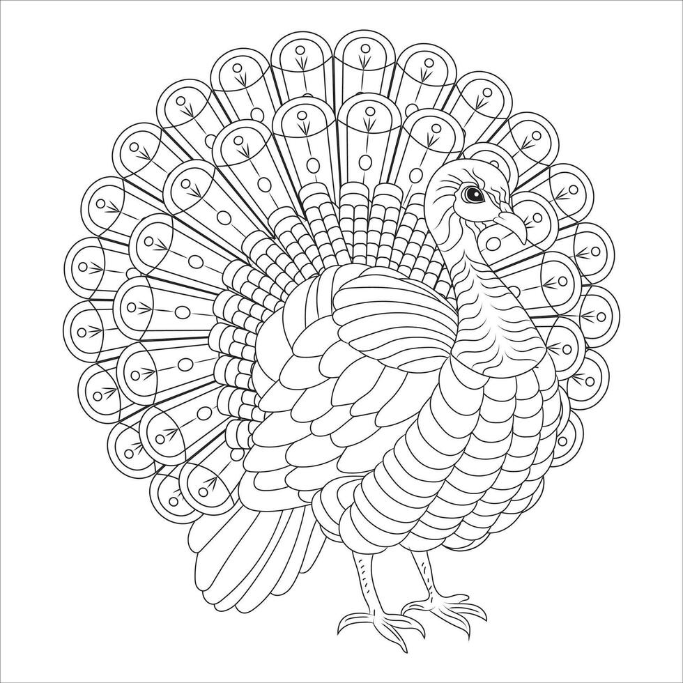 Intricate Peacock with Detailed Feather Display Outline for Coloring vector