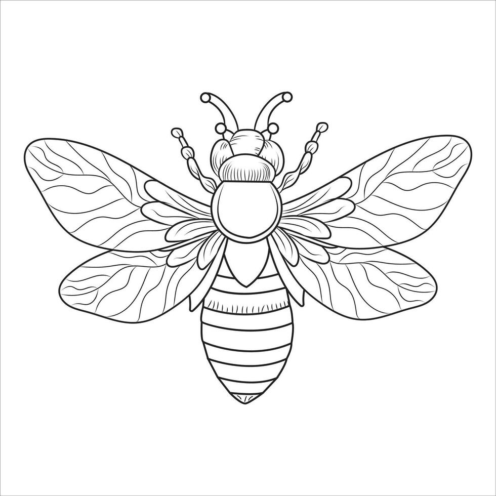 Detailed Bee with Patterned Wings Outline for Coloring vector
