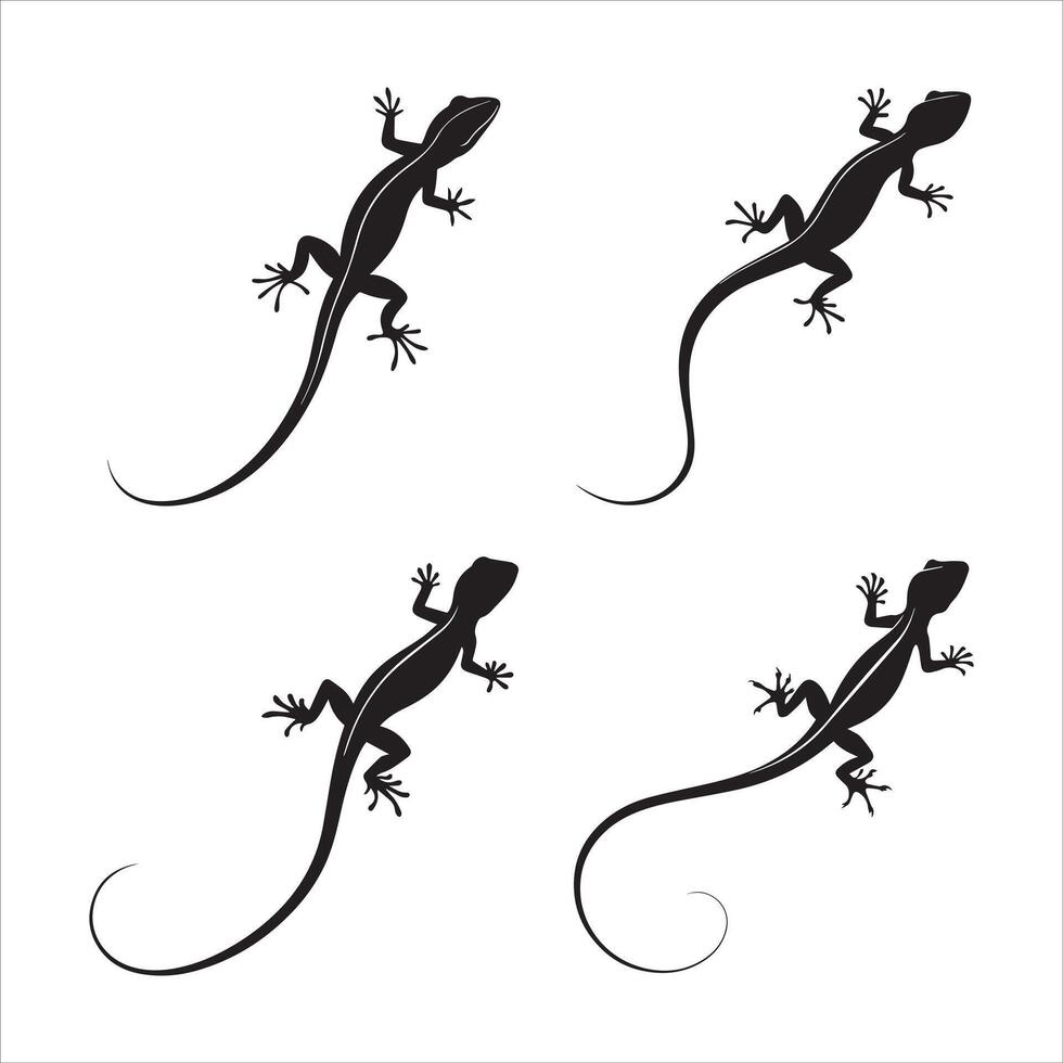 Lizard Silhouettes Collection vector