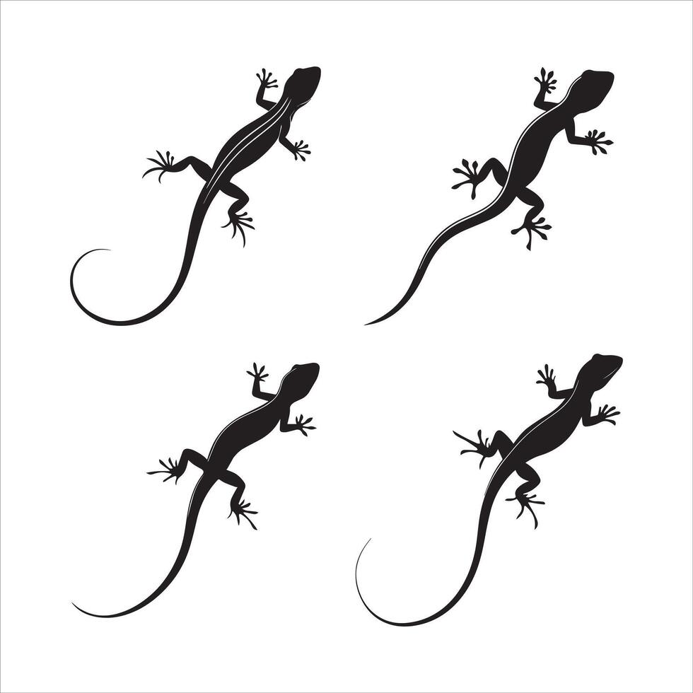 Clean Lizard Illustration Series vector