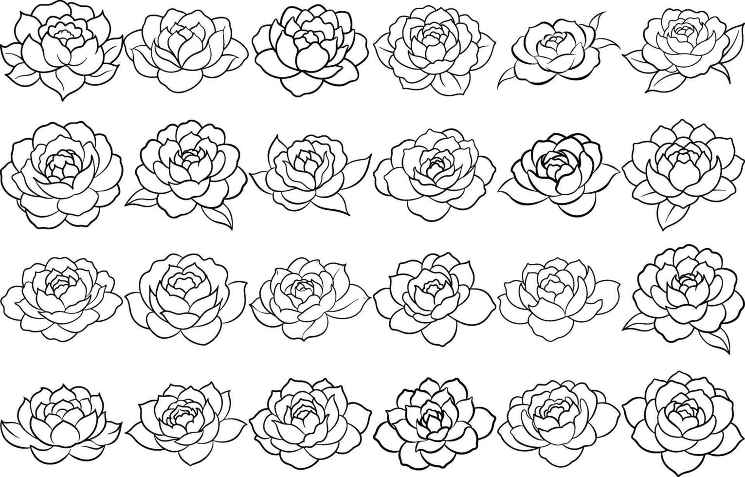 Line Art Of Black And White Drawing Illustration Of peony Flowers On A White Background That Says The Quote Word Peony Flower On It vector