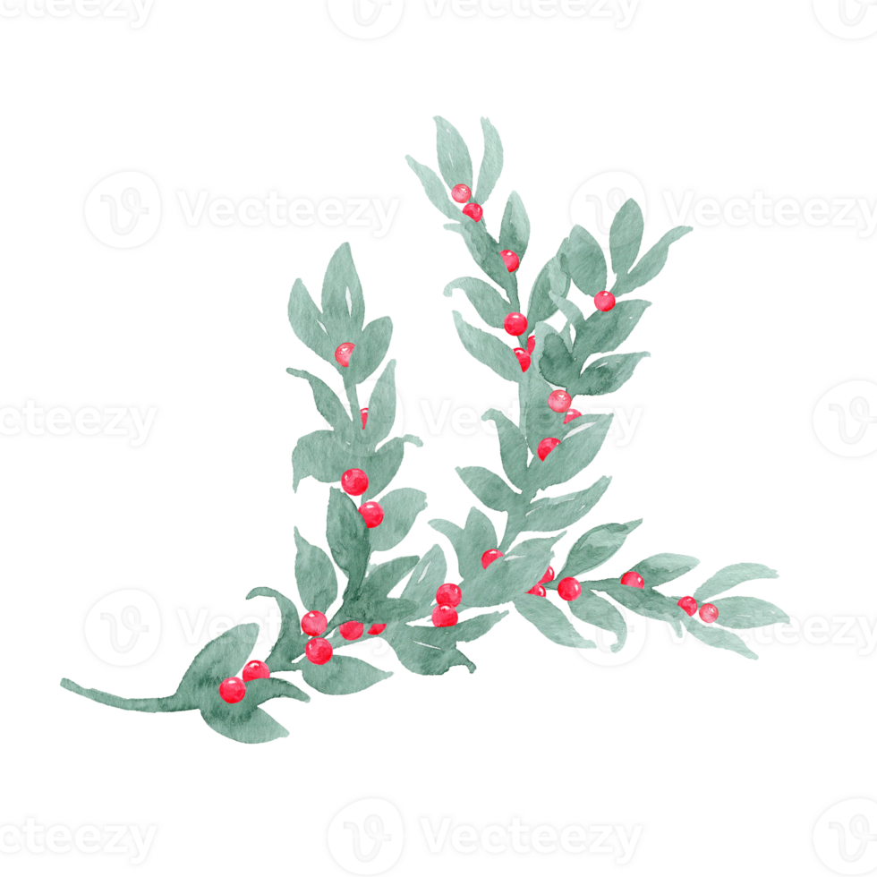 Watercolor unpretentious twig of green leaves like laurel with berries, ribbon and bow Branch with berries. Sprout with leaves and berries. Greenery and berries. Hand drawn leaves png