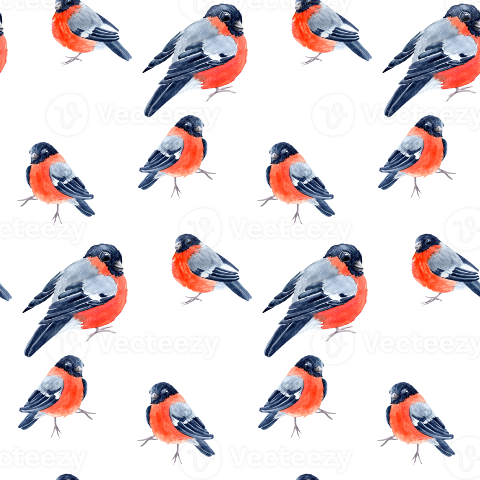 seamless pattern with bullfinches, three different birds Isolated for wrapping png