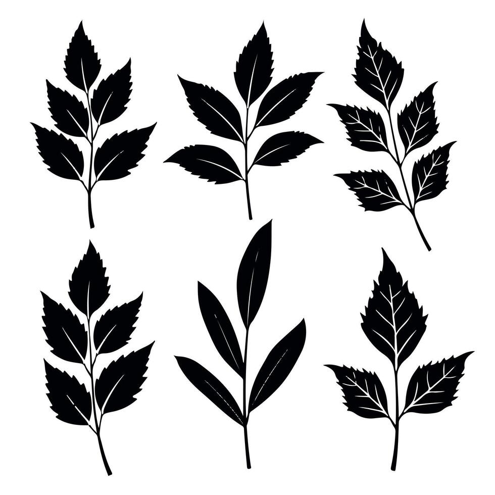 a set of black and white images of plants with leaves. vector