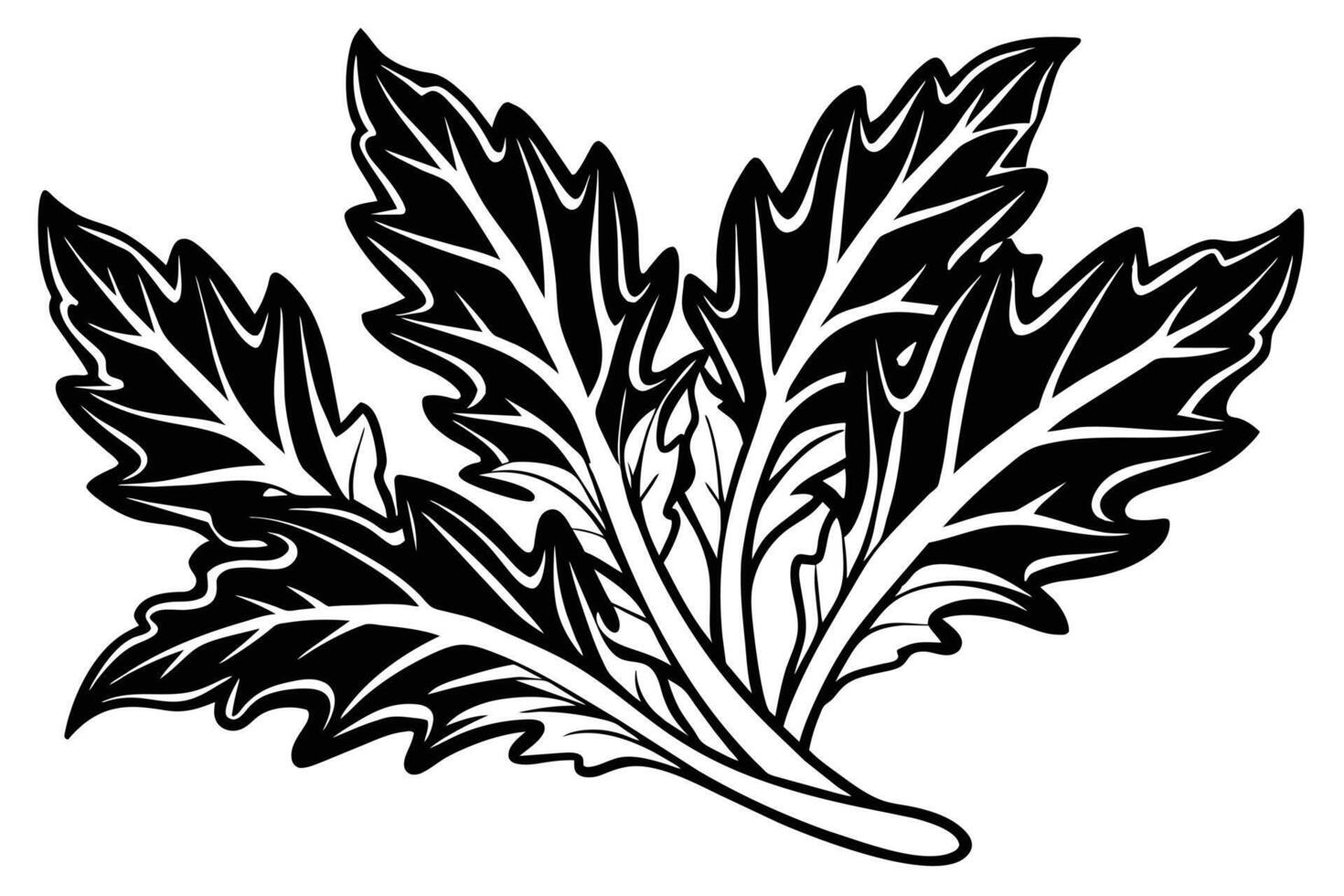 Detailed Black and White Illustration of Leafy Greens vector
