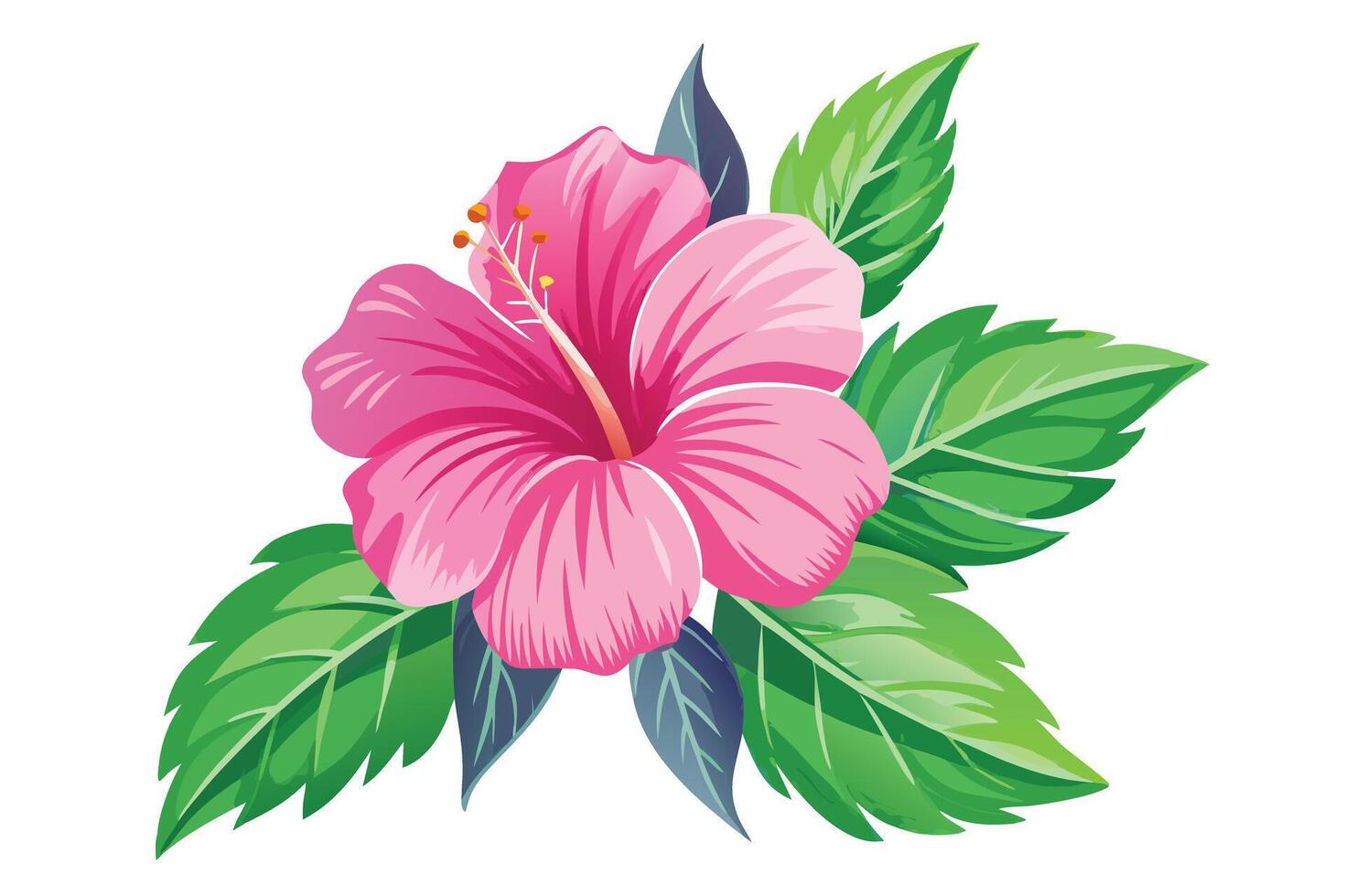 Vibrant Pink Hibiscus Flower Design for Spring or Summer vector