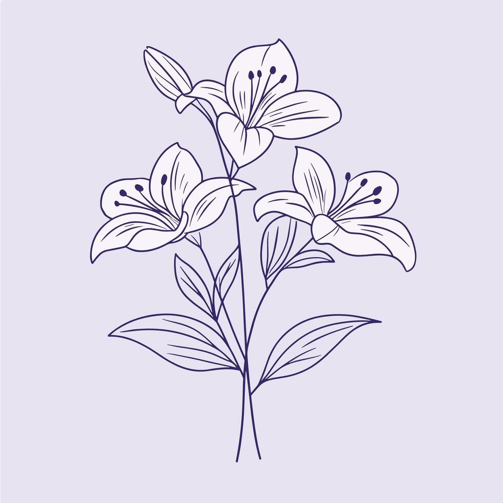 Elegant Floral Illustration of Lilies - Botanical Art on Lavender Background vector