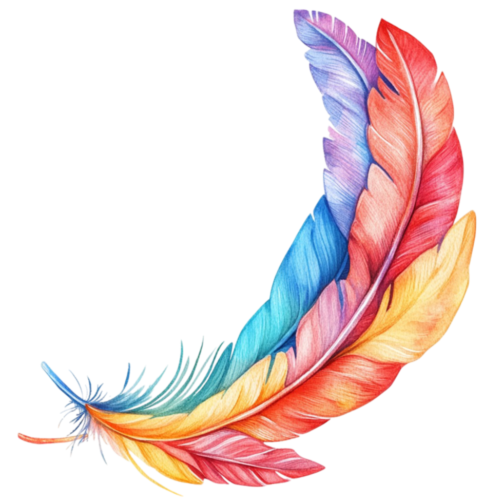 Vibrant Artistic Representation of Overlapping Feathers png