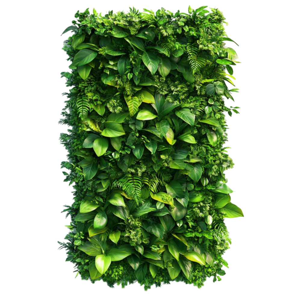 Lush Green Vertical Garden Wall png