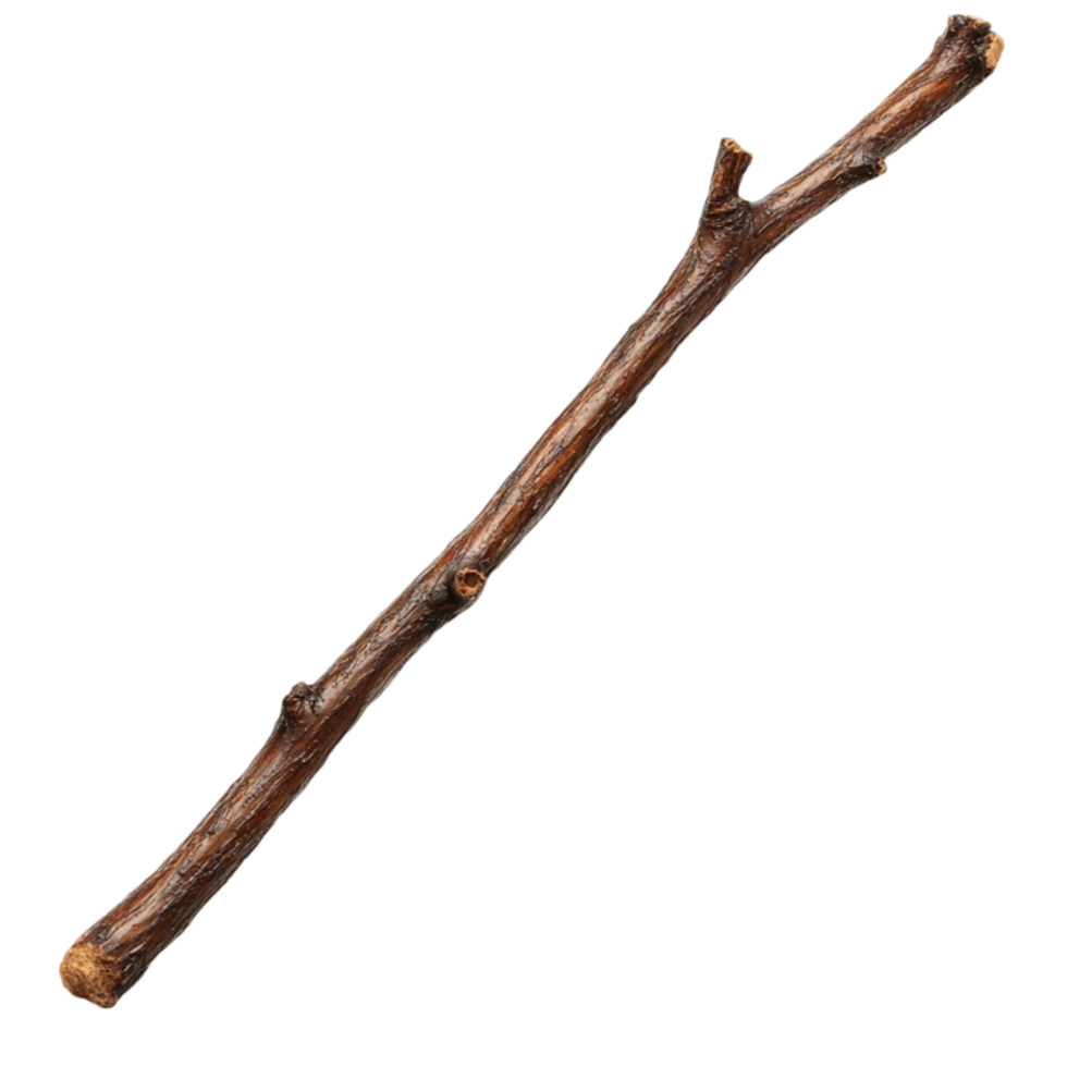 Thin Wooden Stick with Rustic Texture png